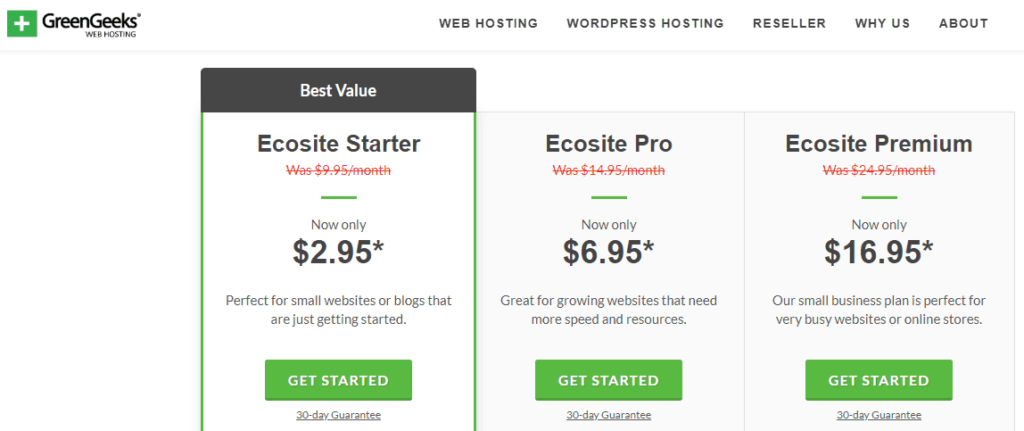 Green Geeks is among the top web hosting service providers. 