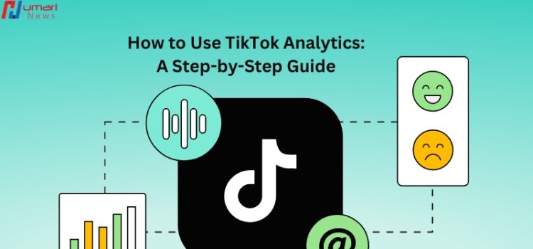 How to Use TikTok Analytics