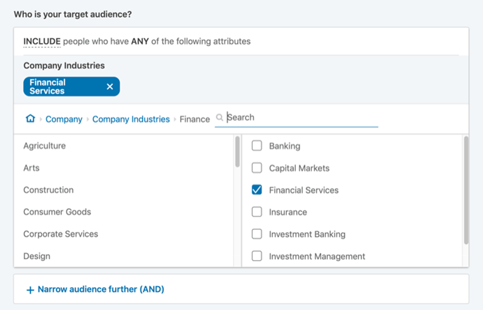 Target Audience and Budget LinkedIn