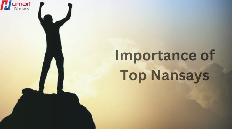 What is a Top Nansay?