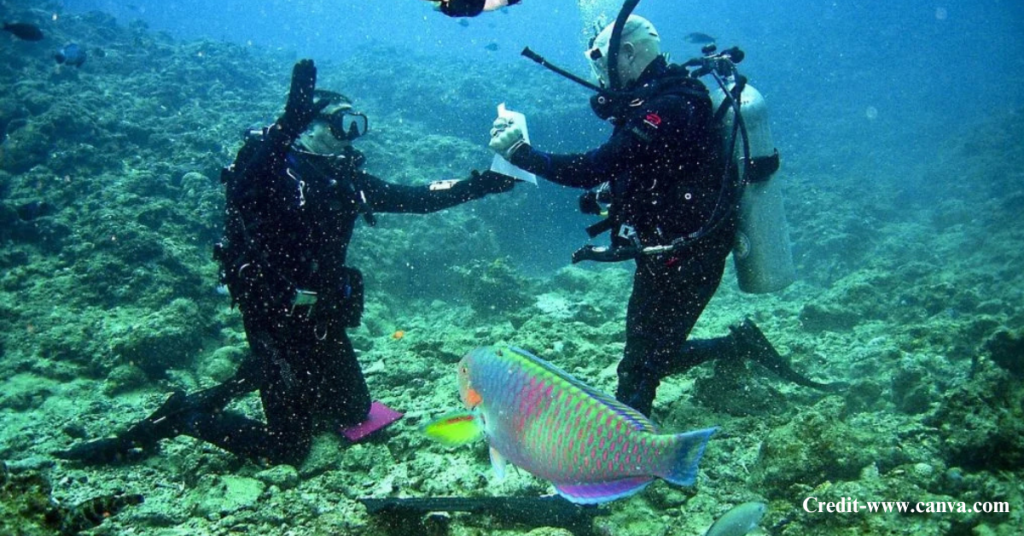 Churna Island Karachi