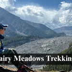 Fairy Meadows Trekking