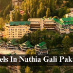 Best Hotels in Nathia Gali, Pakistan