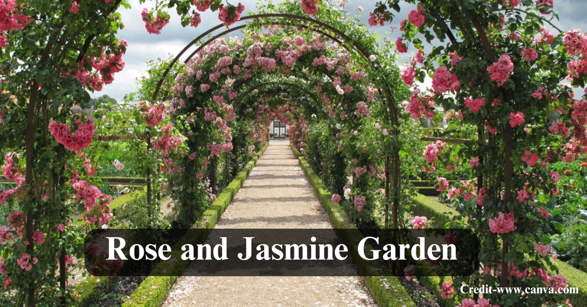 Rose and Jasmine Garden Islamabad