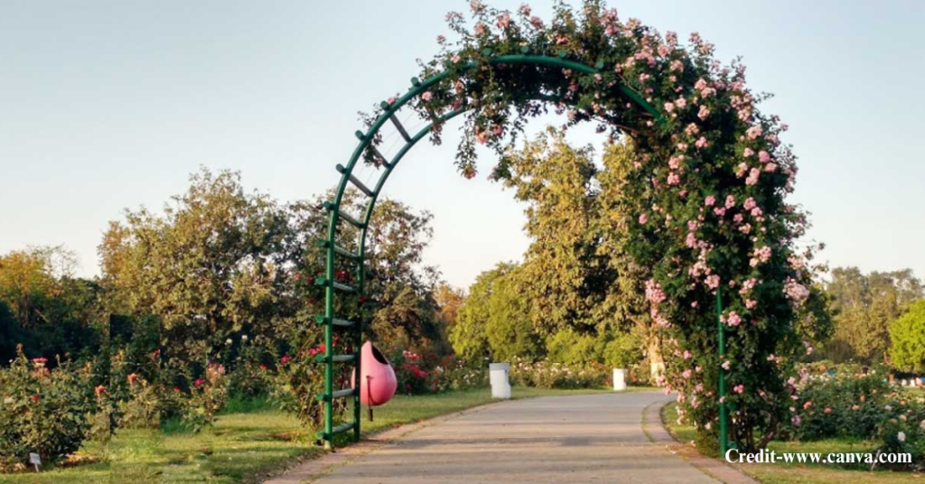 Rose and Jasmine Garden