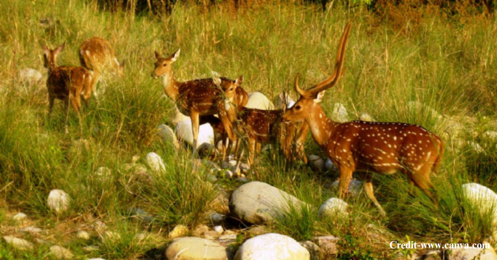 Shakarparian National Park