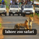 Lahore Zoo Safari