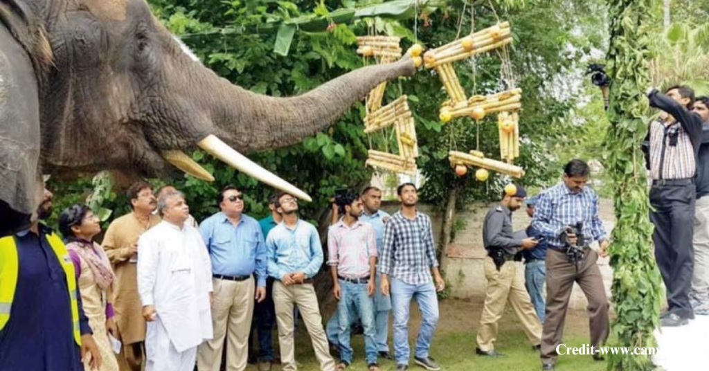 Lahore Zoo Safari