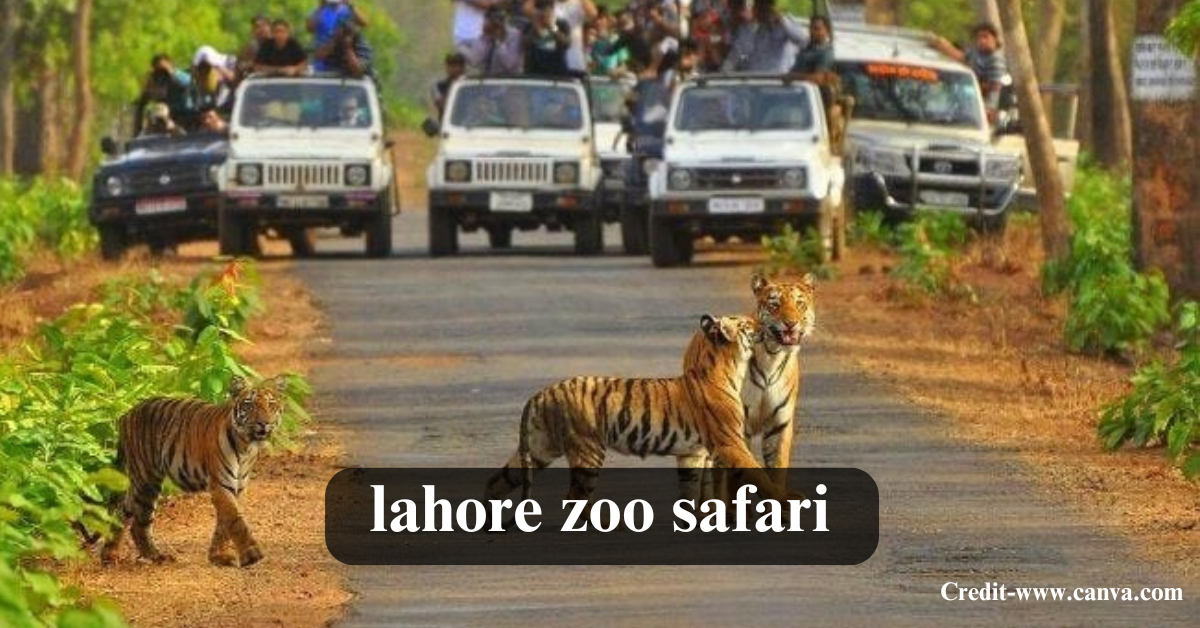 Lahore Zoo Safari
